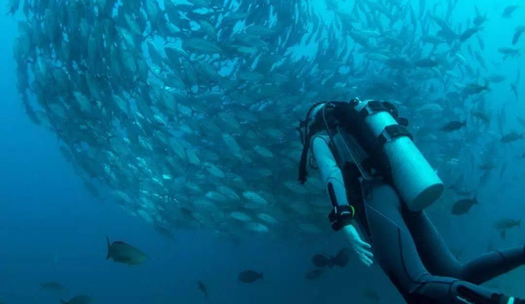 海盗的寻宝之旅